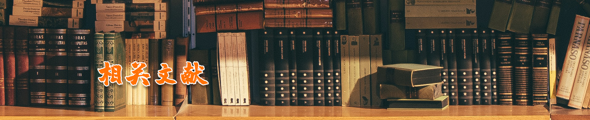 相关文献 